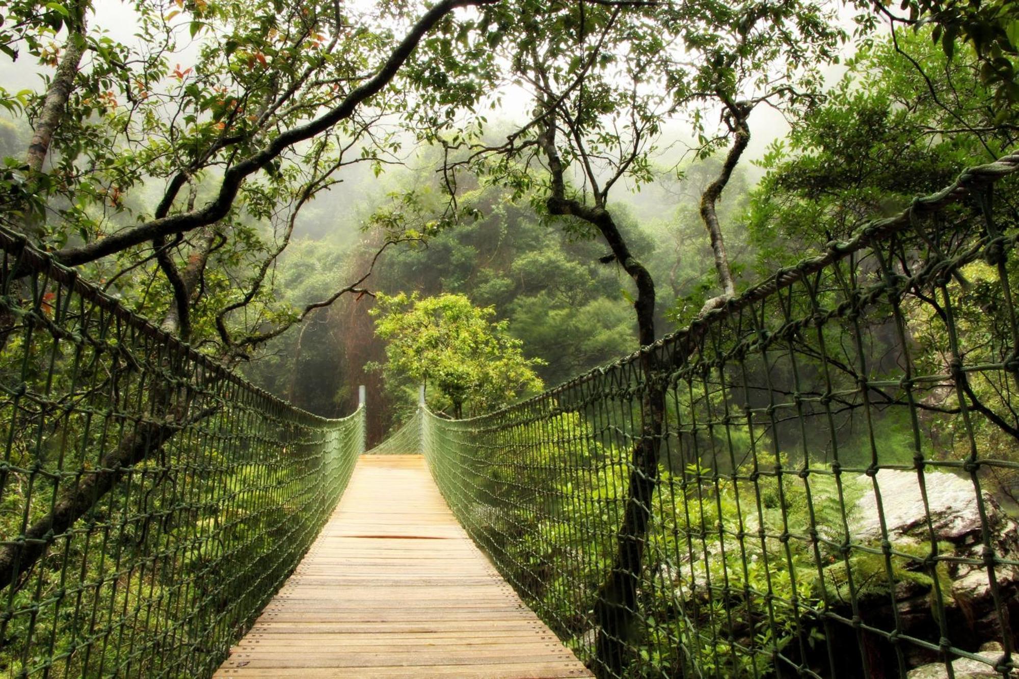 Mogodi Lodge 그래스콥 외부 사진